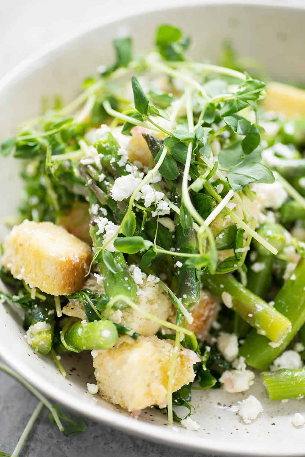 Spring Panzanella Salad with Asparagus 2 Close Up Of Panzanella Salad With Pea Shoots And Asparagus
