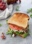 Tofu Chicken Salad Sandwich + Video - Delish Knowledge