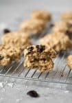 Tropical Trail Mix Breakfast Cookies! These cookies are lightly sweetened, packed with fiber and nutrients and perfect for breakfast or on-the-go snacking. Vegan and easily gluten-free. | www.delishknowledge.com