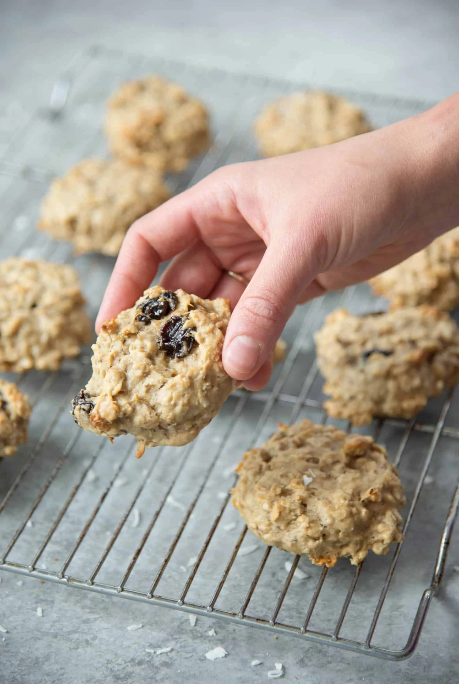 tropical trail mix cookies