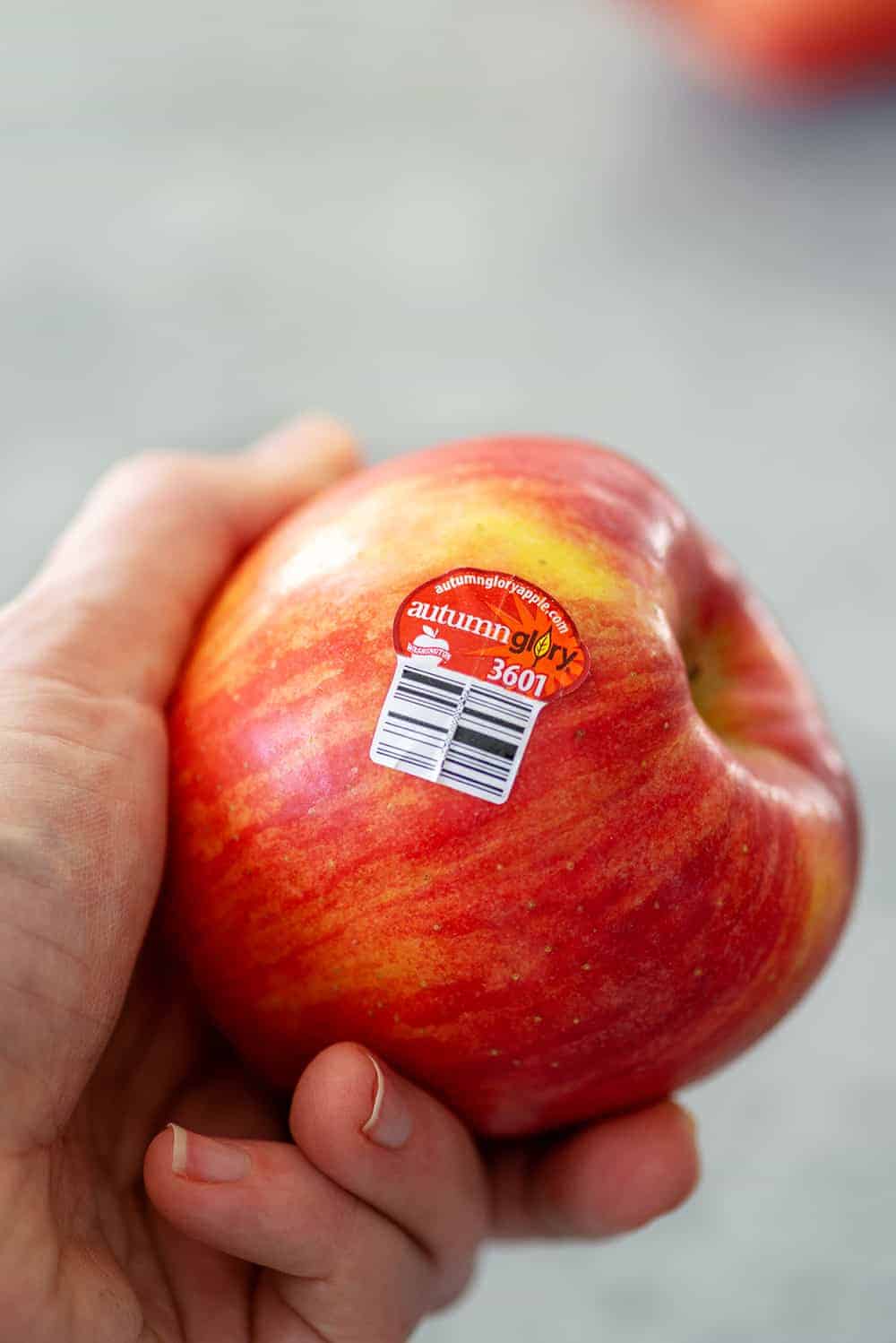 autumn glory apples 