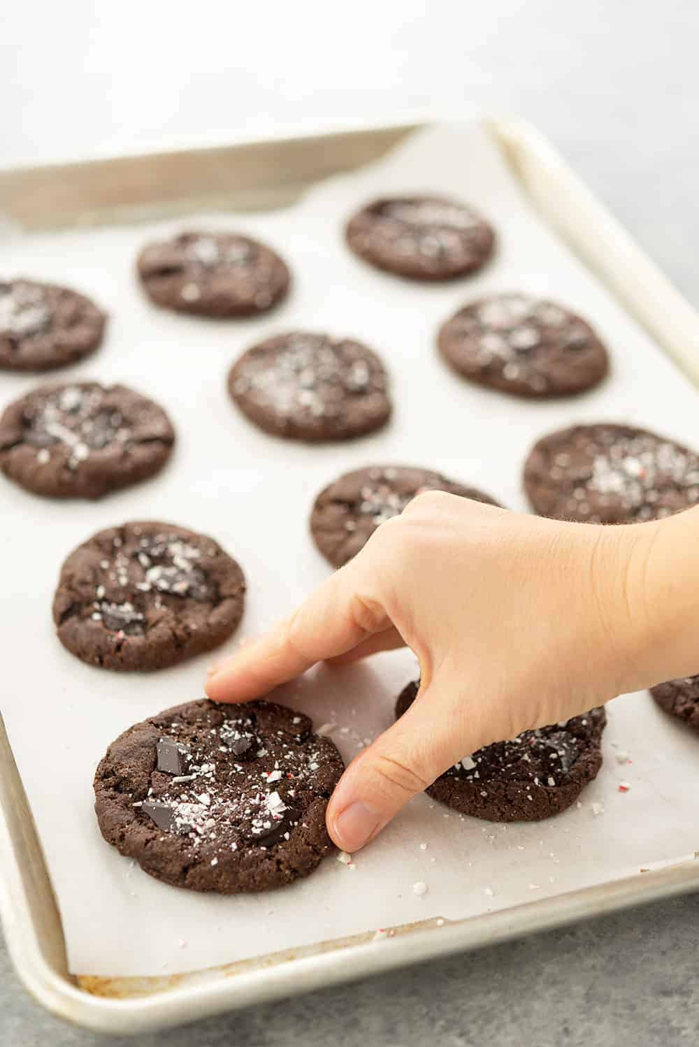 Vegan Chocolate Peppermint Cookies 7 Vegan Chocolate Peppermint Cookies