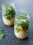 Vegan Red Curry Cup O'Noodles! Homemade lunch in a jar! Just add hot water and you've got your own DIY Cup O'Noodles. Red Curry, Coconut, veggies, noodles and herbs. | www.delishknowledge.com