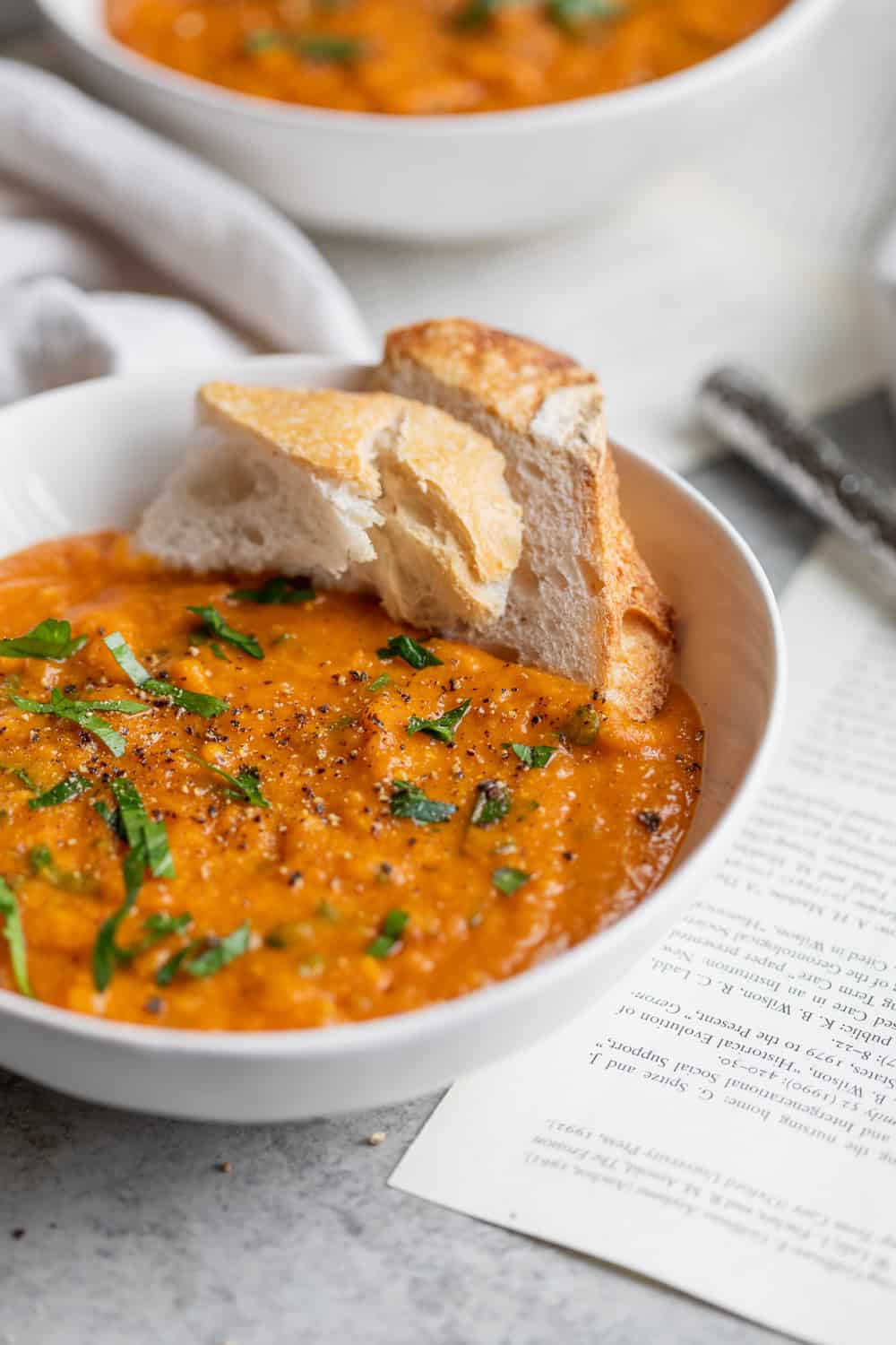 Healthy Red Lentil Soup Recipe