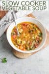 vegan vegetable soup with texts