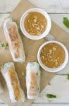 Vietnamese Tofu Spring Rolls! You will love these healthy salad rolls. Spring Rice Rolls stuffed with crispy peanut tofu, shredded cabbage, carrots, mint, cilantro and vermicelli noodles. Served with a spicy peanut-lime dipping sauce. Vegan and easily gluten-free. | www.delishknowledge.com