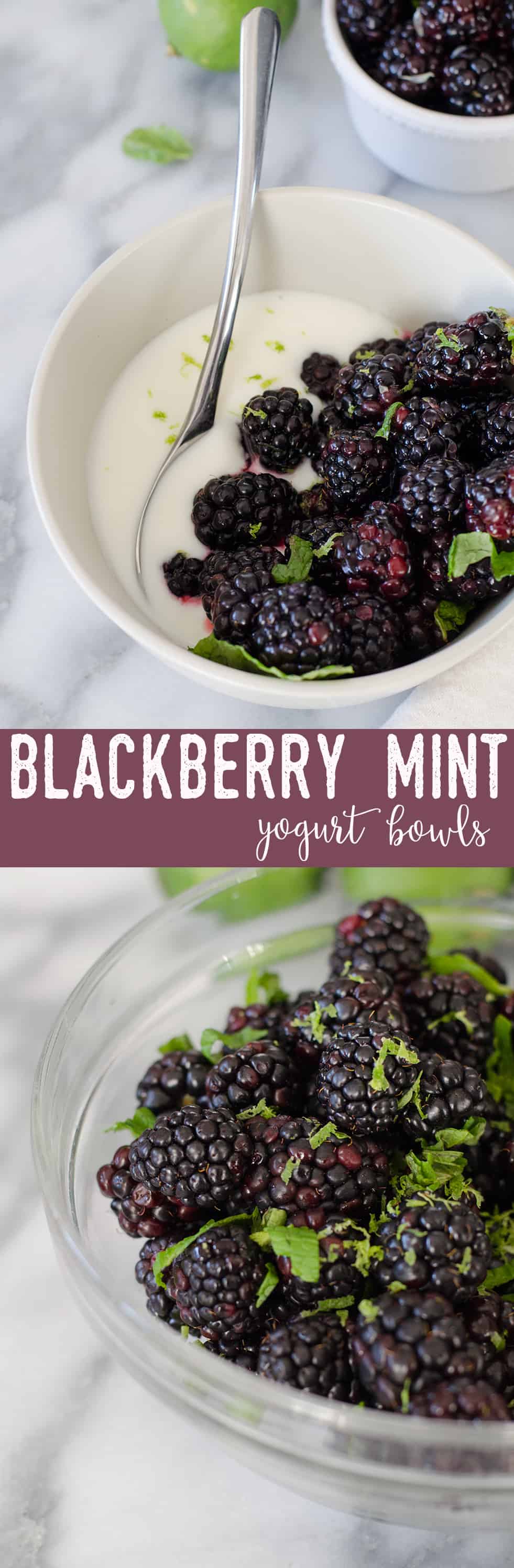 Blackberry Mint Lime Yogurt Bowls! Fresh blackberries tossed with lime juice and mint and served over greek yogurt. A healthy, protein packed breakfast or snack. vegetarian and gluten-free | www.delishknowledge.com