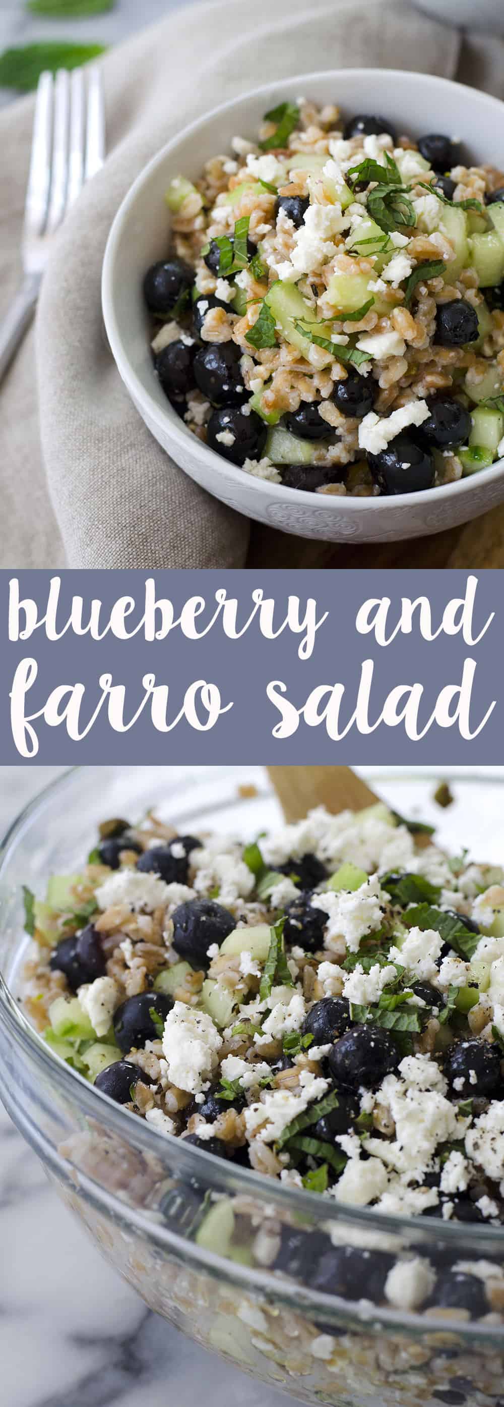 Blueberry And Farro Salad! This Sweet And Salty Salad Is Perfect For Summer Entertaining! Fresh Blueberries, Chewy Farro, Cucumber And Feta In A Lemon-Mint Dressing. Vegetarian | Www.delishknowledge.com