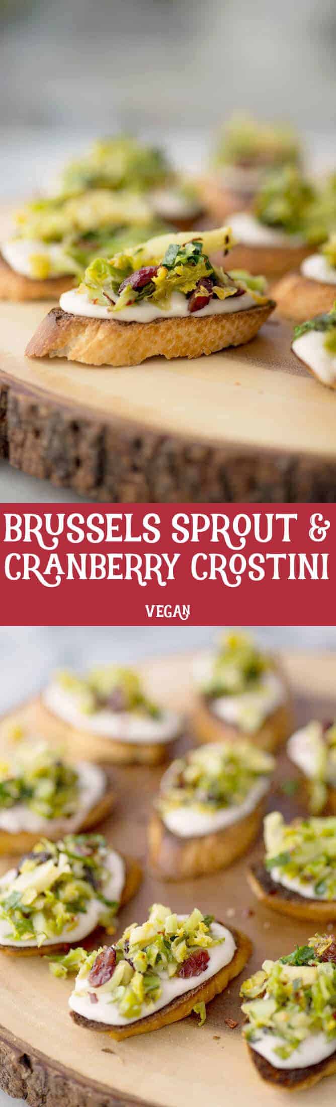 Vegan Brussels Sprout Crostini! Lemon-White Bean Spread topped with charred brussels sprouts and dried cranberry salad. A must-make for the holidays! | www.delishknowledge.com