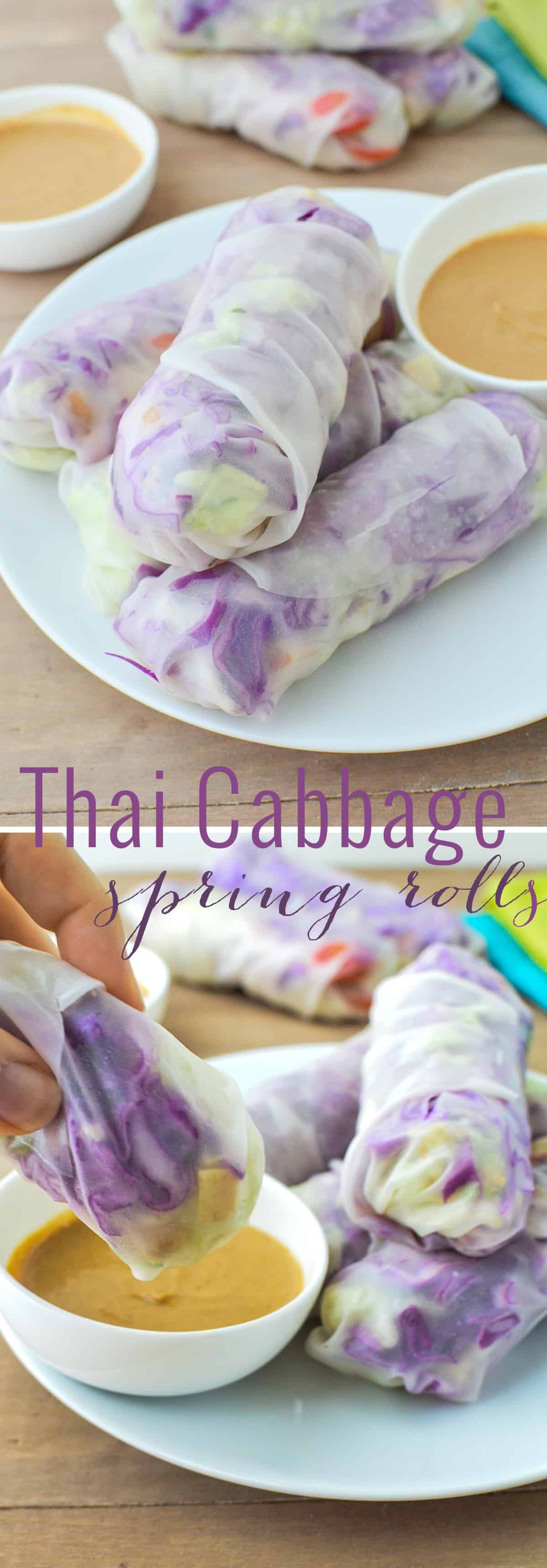 Thai Cabbage Spring Rolls! Spring Rolls Stuffed With Vermicelli Slaw, Baked Tofu, And Shredded Napa And Red Cabbage. Served With Ginger-Peanut Sauce. | Www.delishknowledge.com