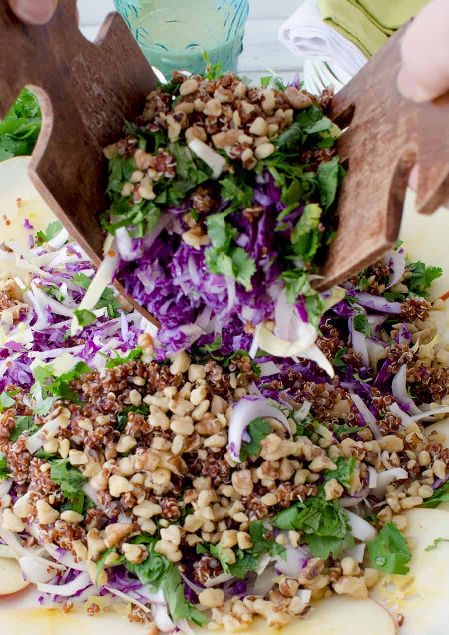 Winter Slaw! So, so good! Cabbage, Endive, Apples, Parsley, Walnut and Quinoa is a lemony-tahini sauce. Such a healthy side dish or main | www.delishknowledge.com