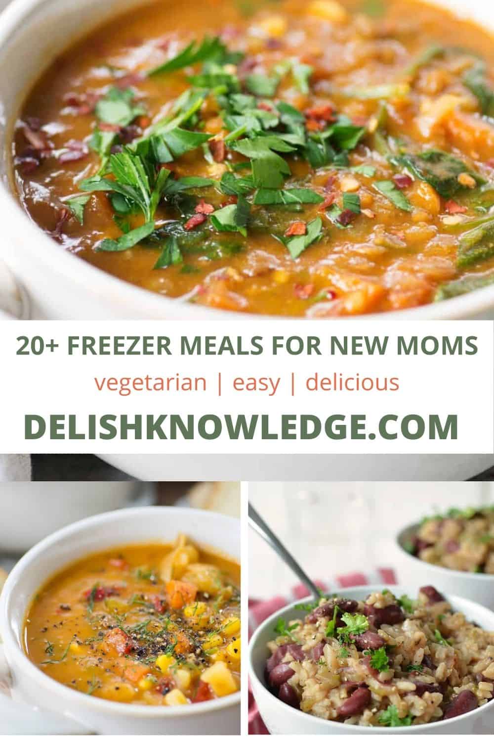 20+ Vegetarian Freezer Meals for New Moms Delish Knowledge