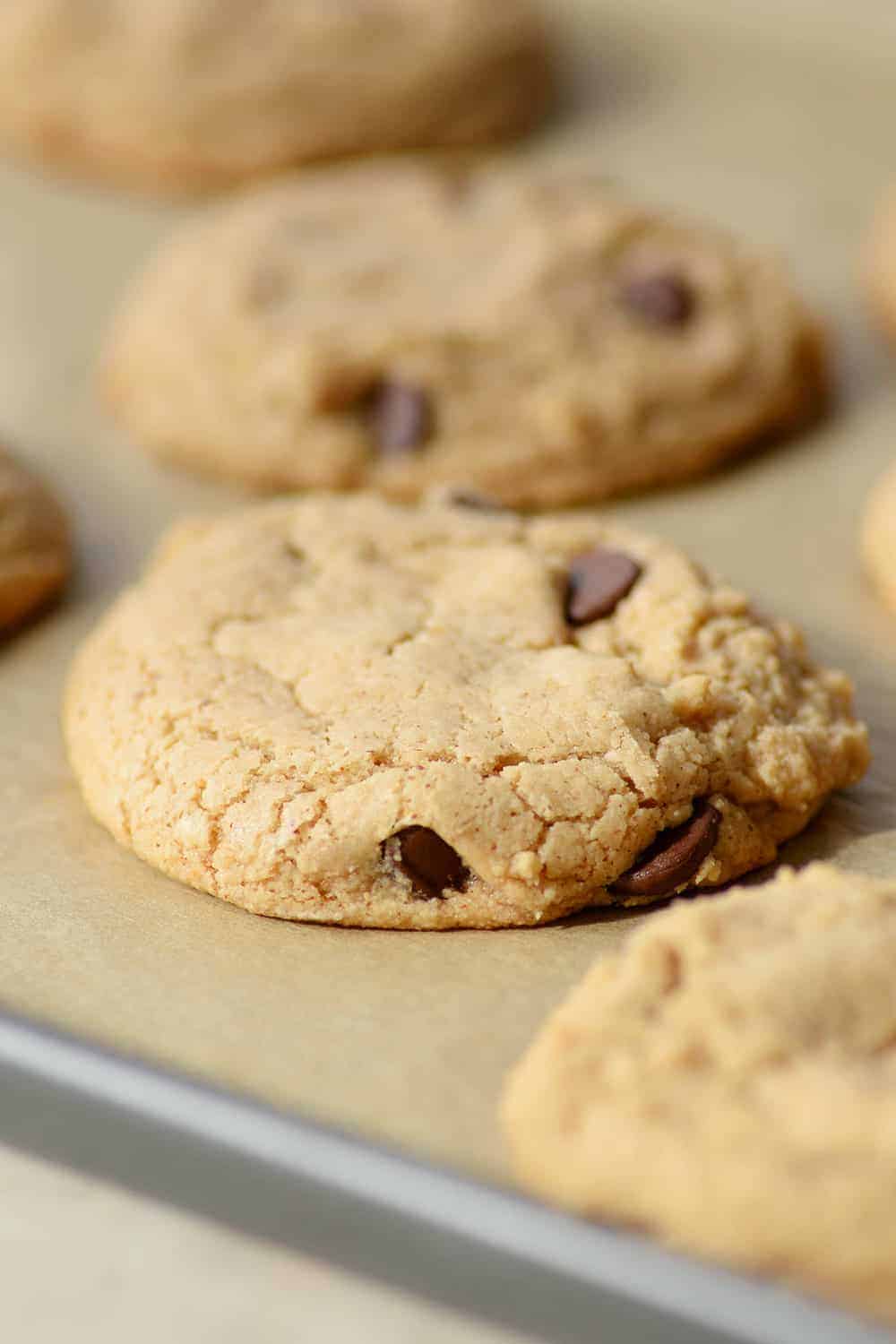 Close Up Of Vegan And Gluten-Free Chocolate Chip Cookie