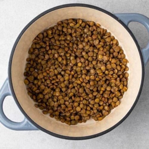 How to Cook Lentils (Recipes and Tips) 14 How To Cook Lentils