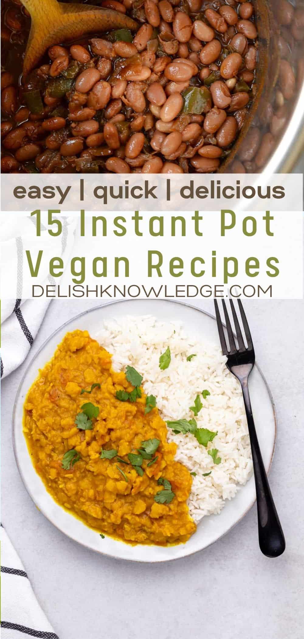 12 Simple Vegan Instant Pot Recipes for Dinner (High Protein) - Delish