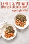 potato, harissa and lentil buddha bowl with texts