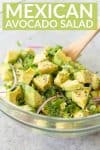 Mexican Avocado Salad