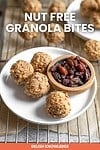 nut free granola bites