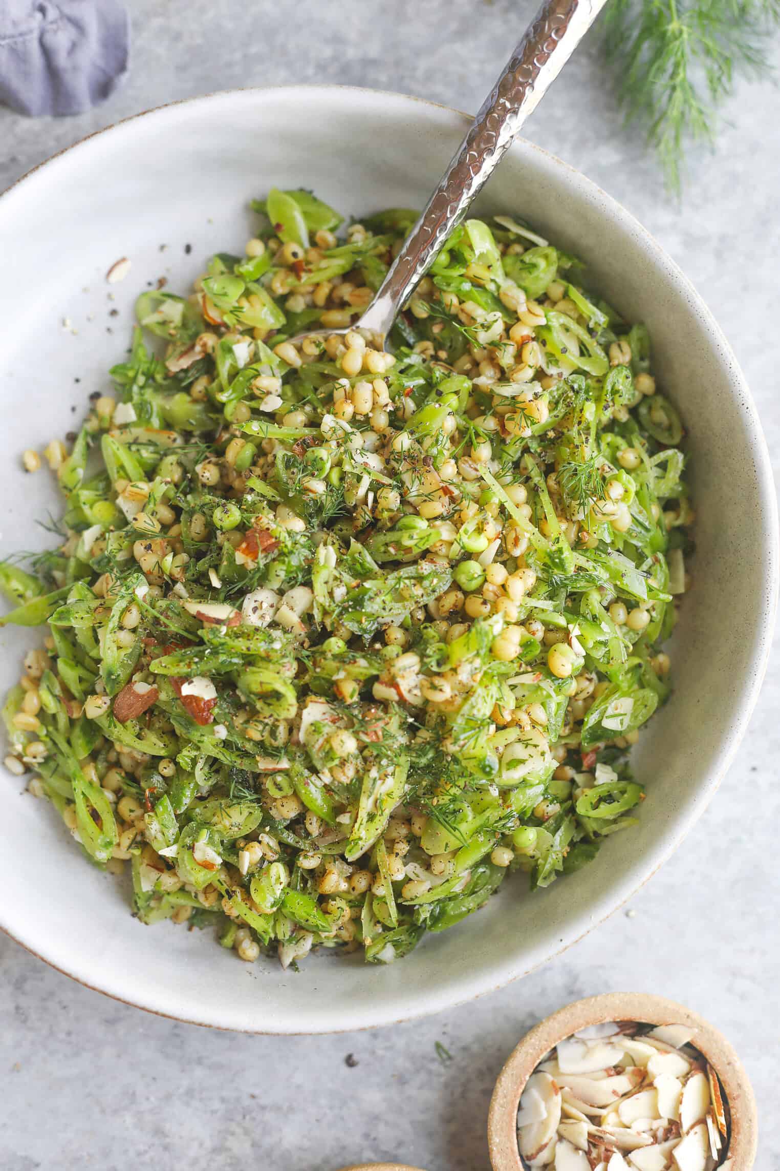 Spring Pea, Mint and Wheat Berry Salad 10 A White Bowl Filled With A Spring Pea Salad Featuring Sliced Snap Peas, Grains, Herbs, And Slivered Almonds, With A Silver Spoon Resting Inside. A Small Wooden Bowl Of Almonds Sits Nearby On A Gray Surface.