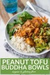 vegan buddha bowl with crispy peanut tofu