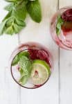 Raspberry Mint Limeade! A refreshing drink perfect for summer! Vegan, gluten-free and low-sugar. | www.delishknowledge.com
