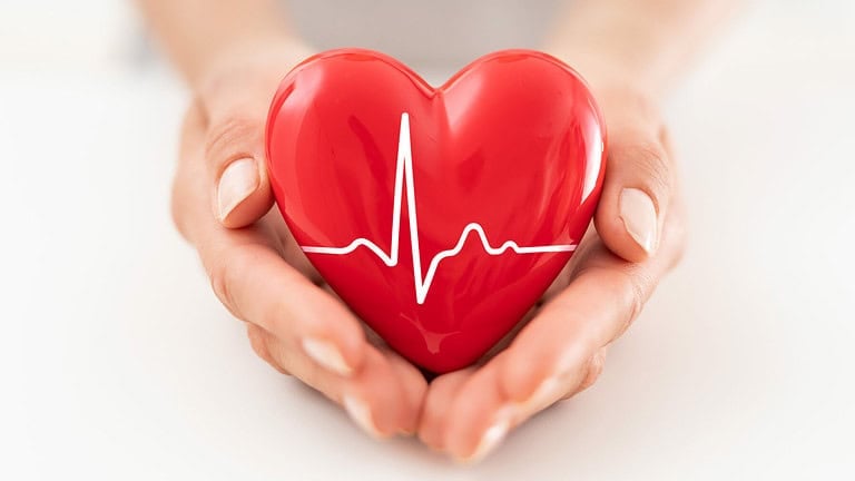 The,Woman,Is,Holding,A,Red,Heart.,Concept,For,Charity,