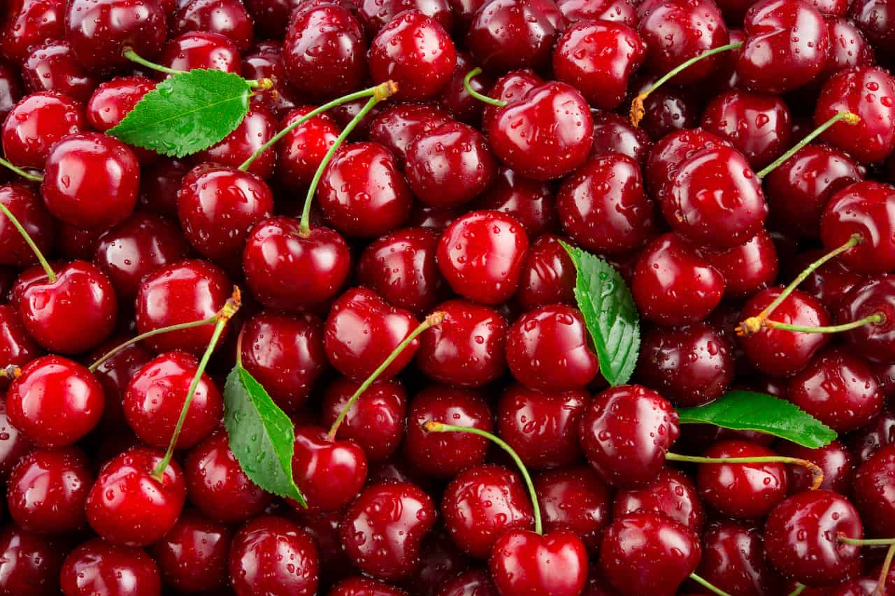 Cherry. Fresh Organic Berries With Leaves Macro. Fruit Background