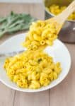 Vegan Mac And Cheese- Made Seasonal By Adding Sage &Amp; Sweet Potato! Cheesy, Savory, And Ready In 30 Minutes Or Less. | Www.delishknowledge.com