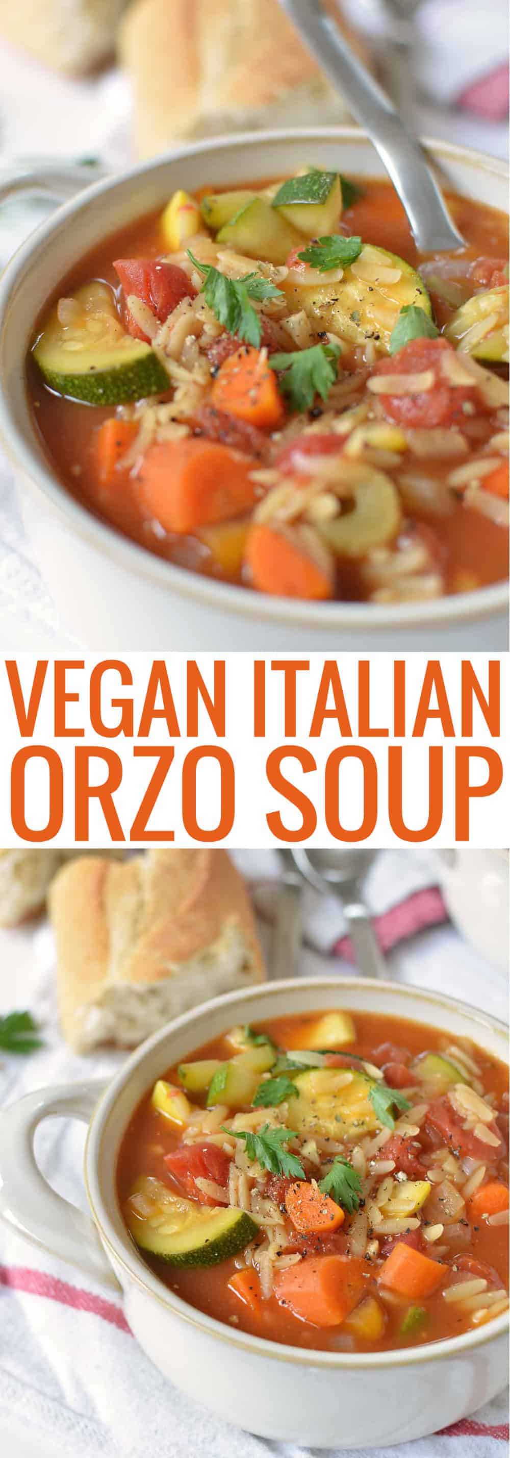 Vegan Italian Soup with Orzo Pasta