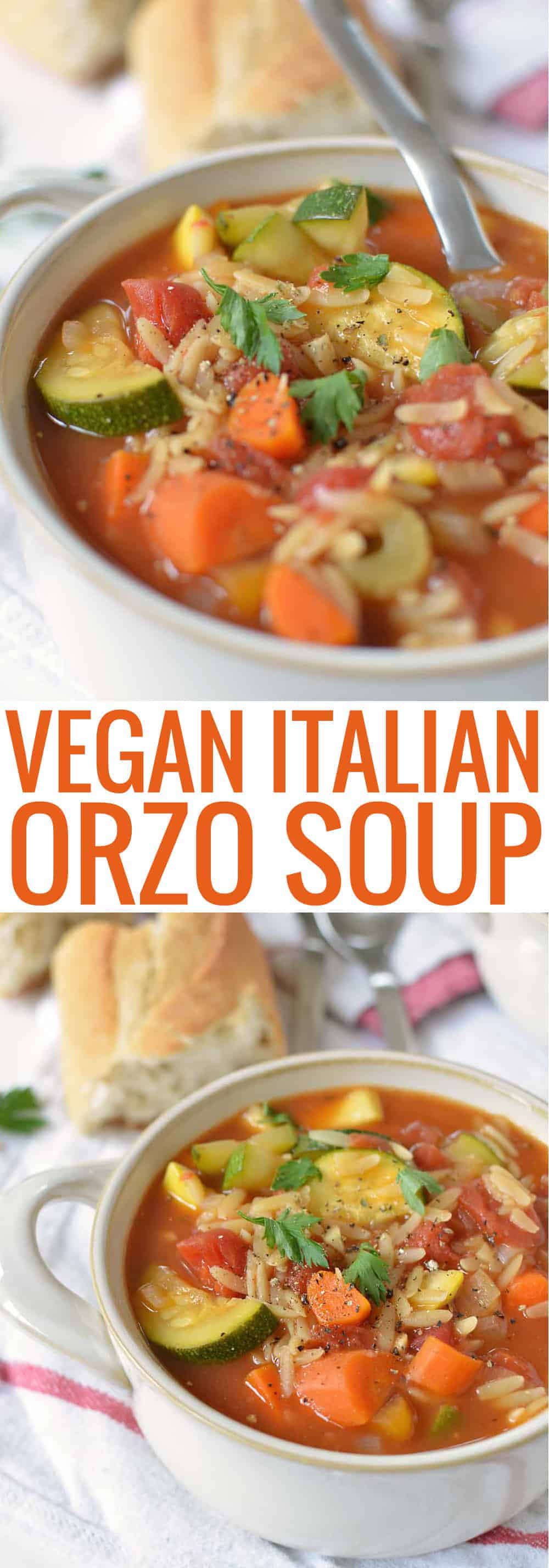 Vegan Italian Soup With Orzo Pasta