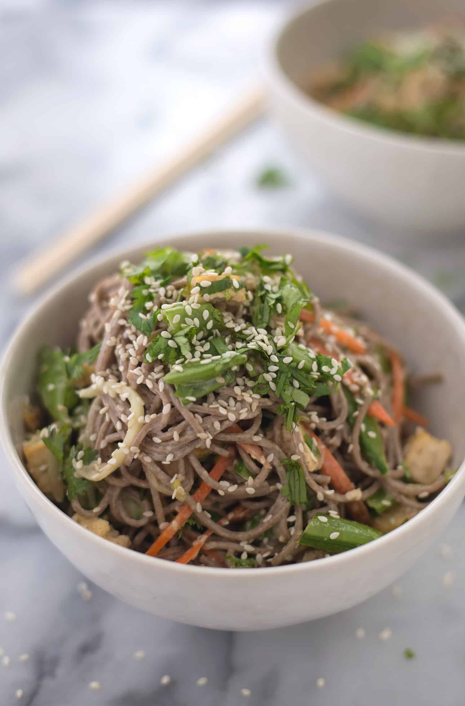 Vegan Sesame Noodle Bowl! Soba Noodles Covered In A Ginger-Sesame Sauce With Lots Of Vegetables And Crispy Tofu! Vegan | Www.delishknowledge.com