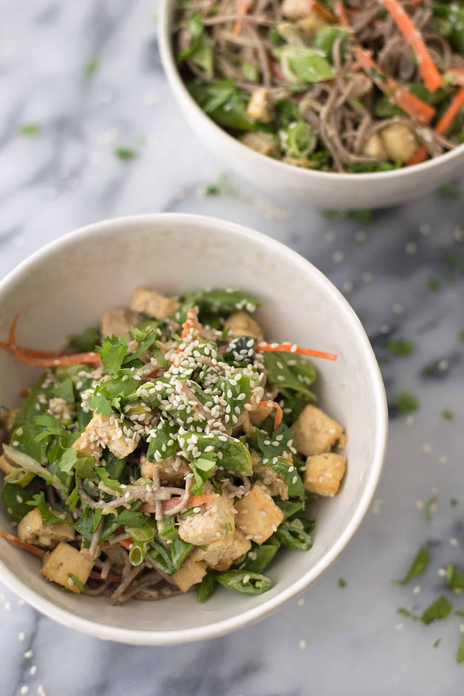 Vegan Sesame Noodle Bowl! Soba Noodles Covered In A Ginger-Sesame Sauce With Lots Of Vegetables And Crispy Tofu! Vegan | Www.delishknowledge.com