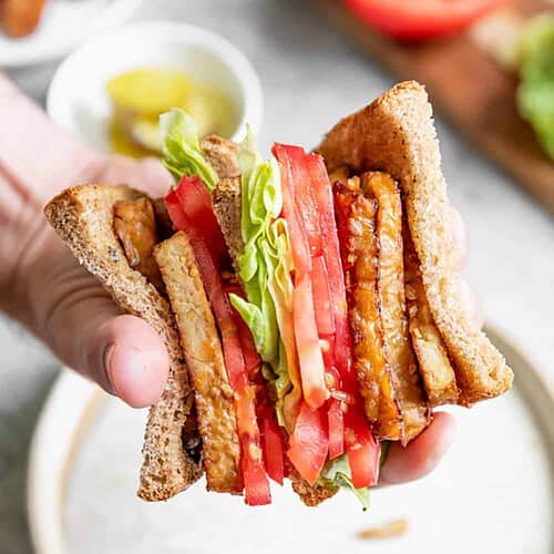 vegantempehbltsquare-500x500.jpg