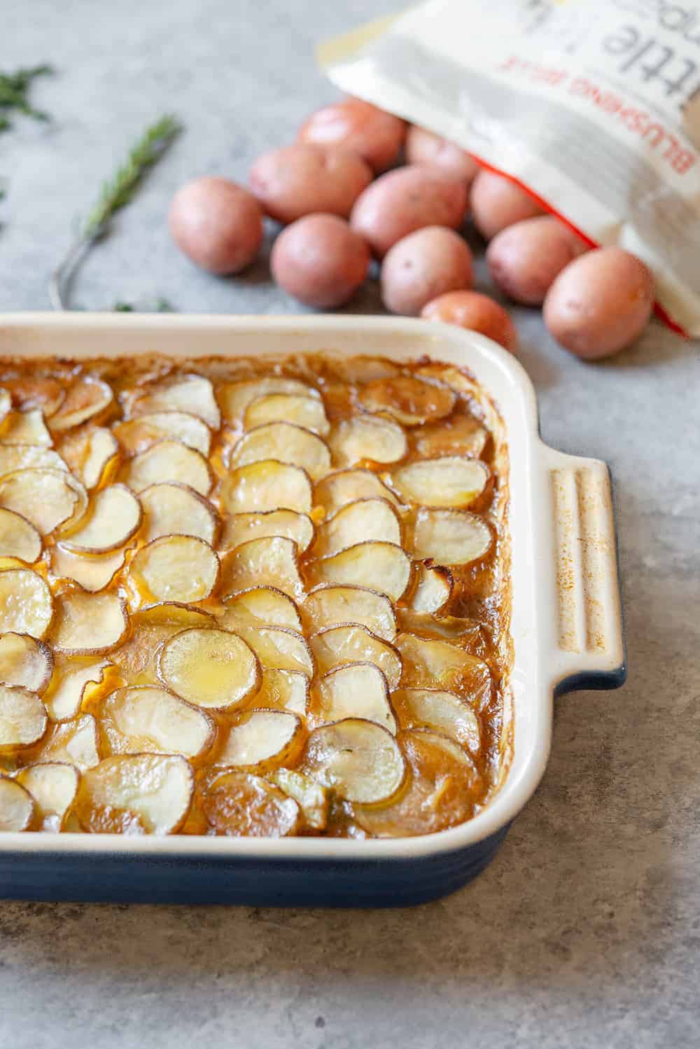 vegetable pot pie with scalloped potato crust 