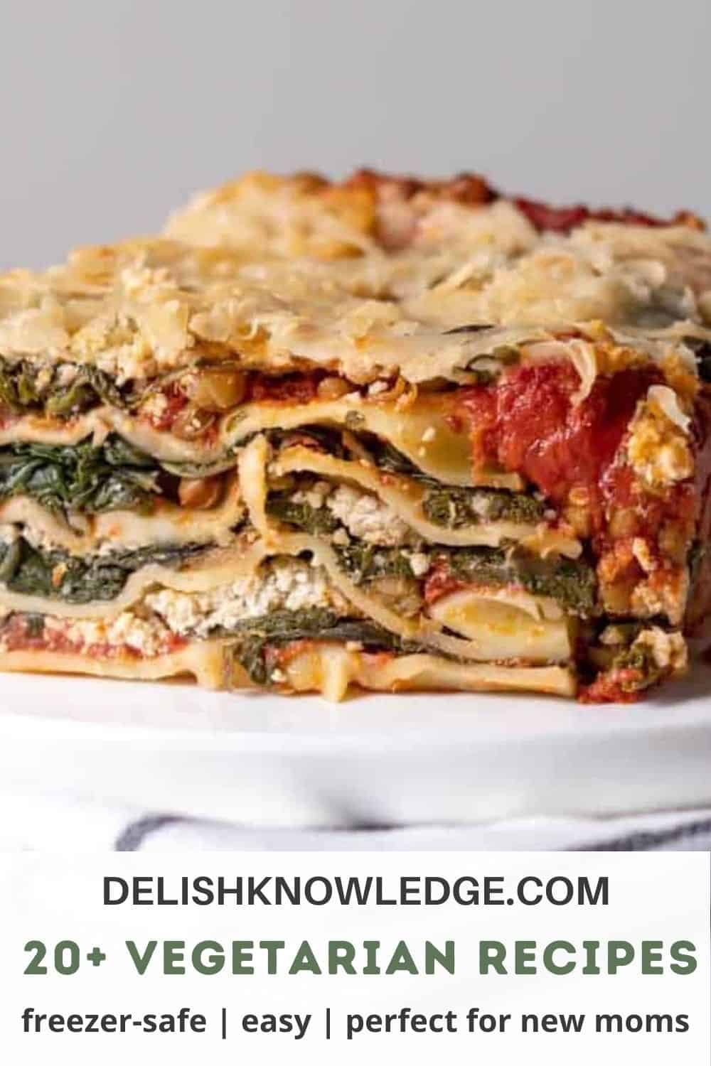 20+ Vegetarian Freezer Meals for New Moms - Delish Knowledge